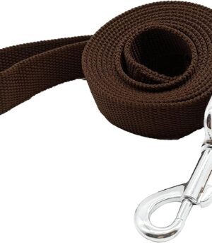 Nylon Dog Training Leash, Traction Rope, 4Ft /5 Foot /6 Feet Long, 5/8 inch 3/4 Inch 1 Inch Wide, for Small and Medium Dogs