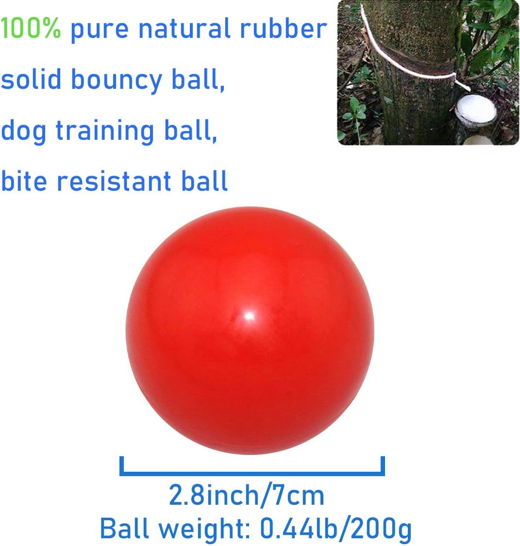 Durable Dog Ball for Chewing & Training, Tough Indestructible Dog Chew Toy, Solid Rubber Bouncy Ball, Cleans Your Dog's Teeth & Improves Mental Health - Image 2