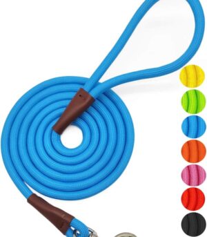 4/6 /8/10 FT Dog Leash, Classic Solid Colors, Strong Nylon Rope Dog Leash Reinforced with Leather  Heavy Duty Silver Clasp (Blue, 8ft*1/2")
