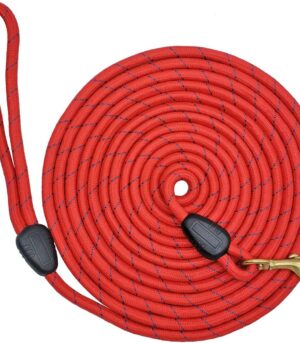 Long Dog Leash, 1/3" by 15/30/ 50 FT Strong Nylon Rope Training Leash, Check Cord Recall Dog Lead for Small and Medium Dogs (red, 15 ft)